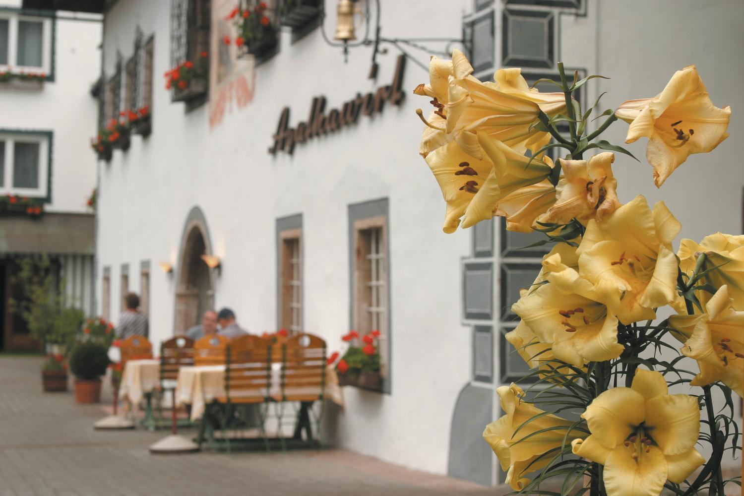 Landhotel Agathawirt Bad Goisern Exteriér fotografie